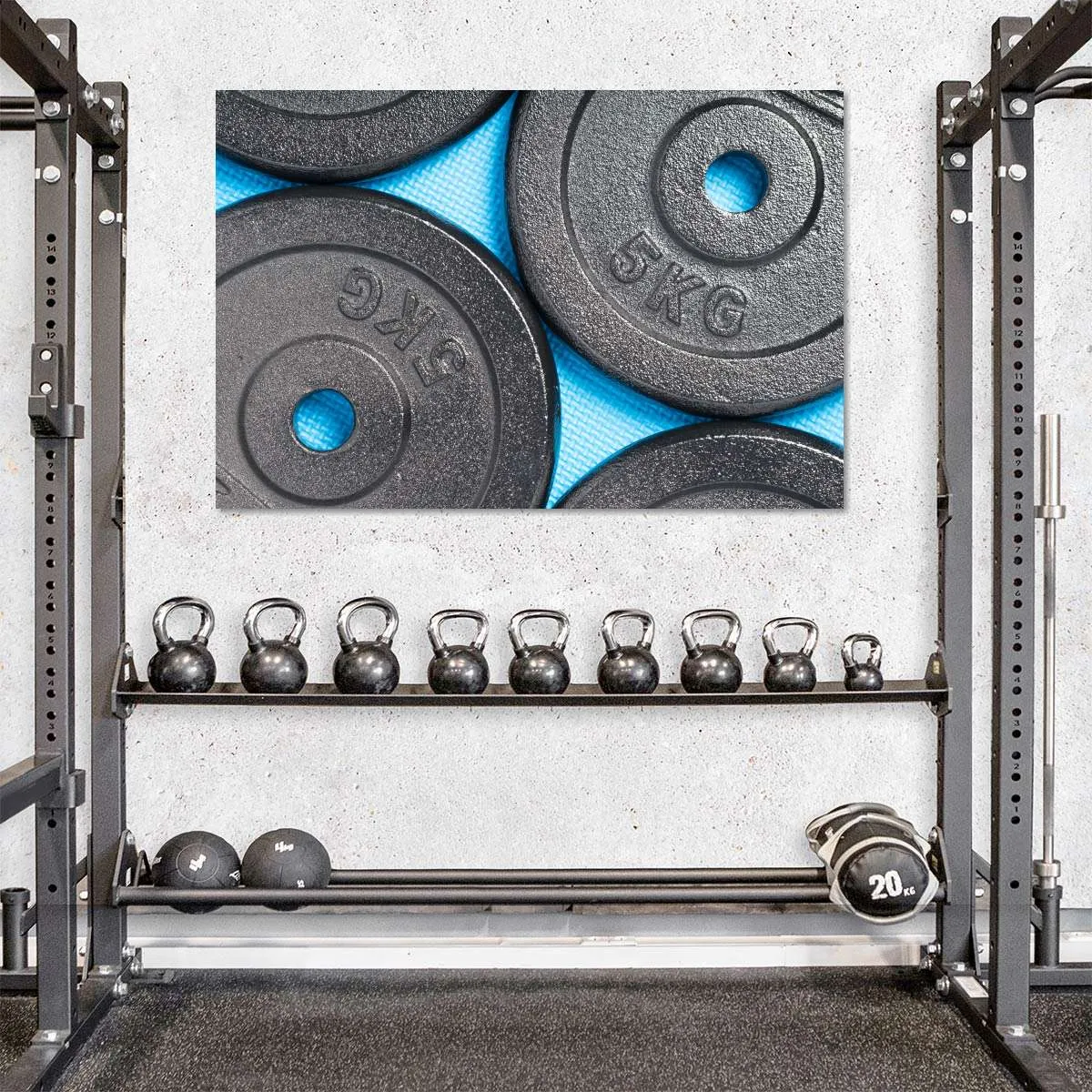 5KG Weight Plates Wall Art