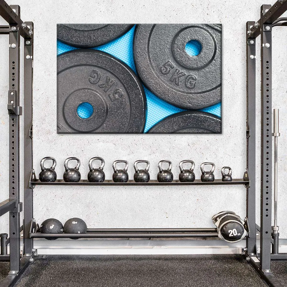 5KG Weight Plates Wall Art