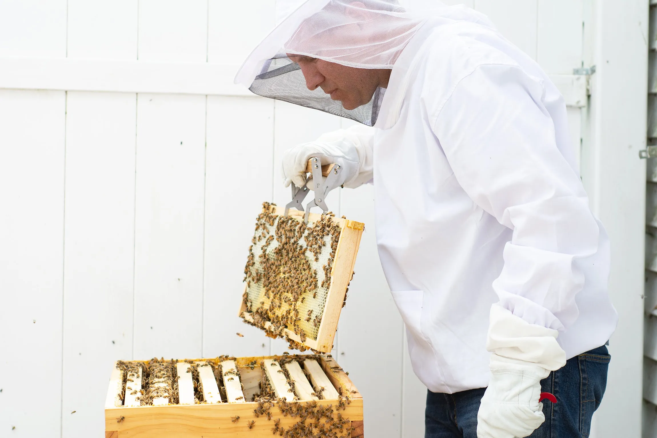 Extra Large Beekeeping Jacket