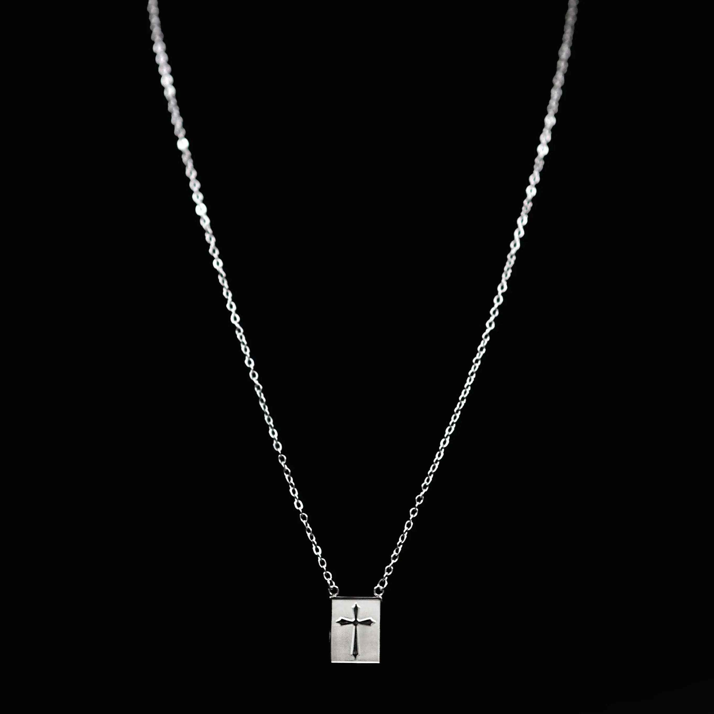 Hector Stainless Steel Chain Necklace with Symbolic Pendant