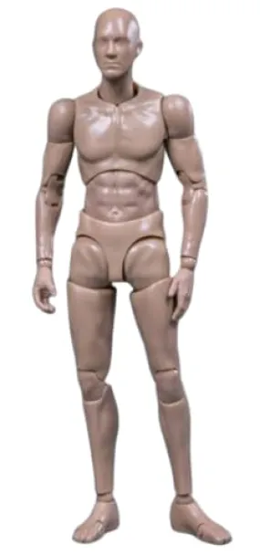 HiPlay 1:12 Scale Male Action Figure Body - Flexible and Multi-Articular Mobility DPS01