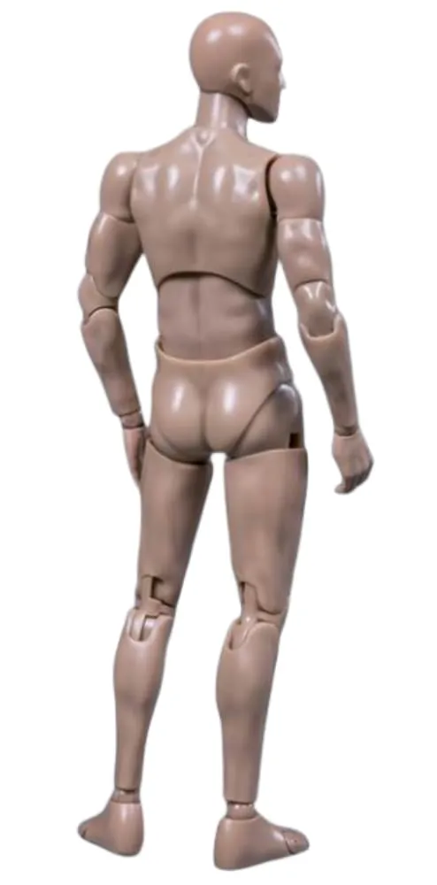 HiPlay 1:12 Scale Male Action Figure Body - Flexible and Multi-Articular Mobility DPS01