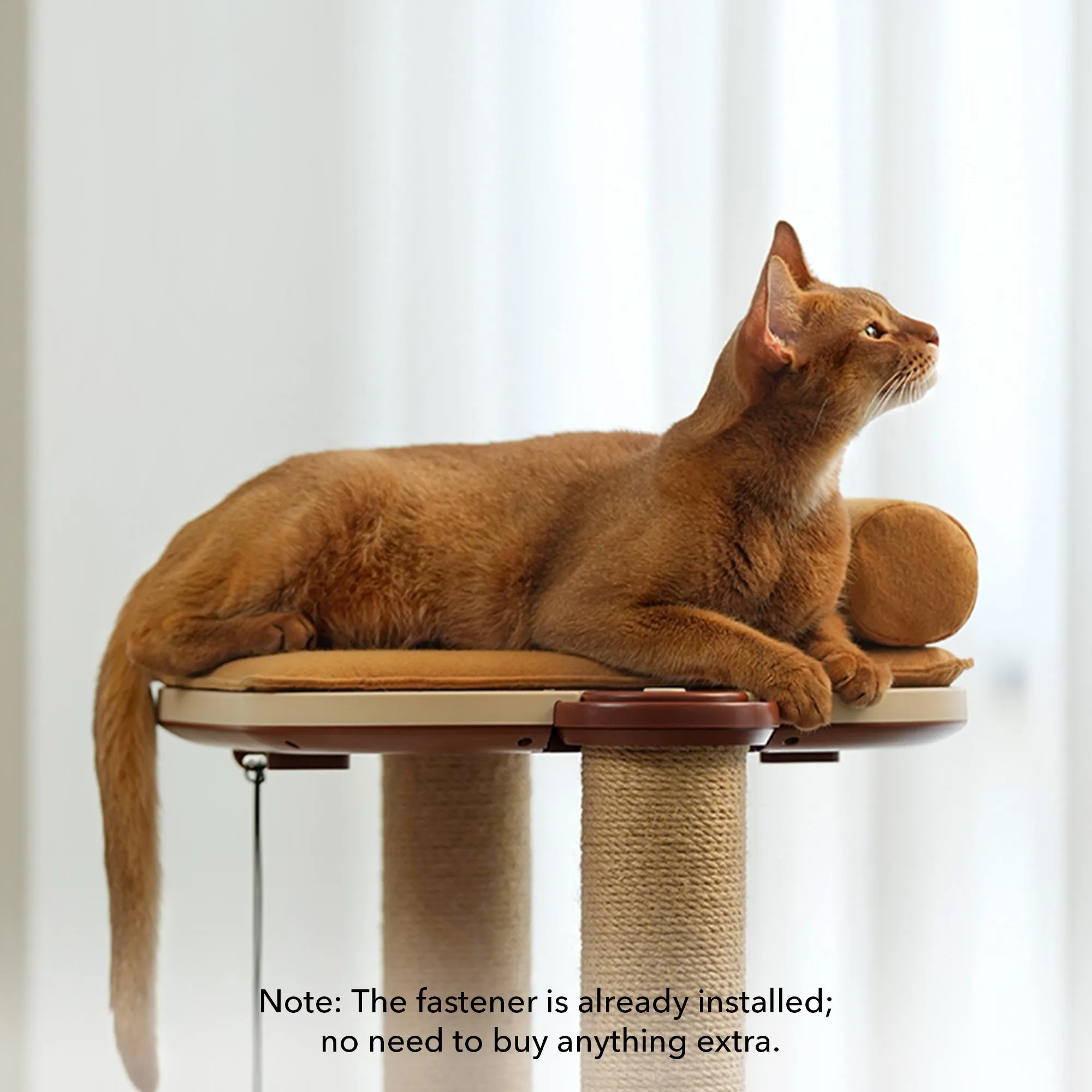 INFINITY Cat Tree Beds