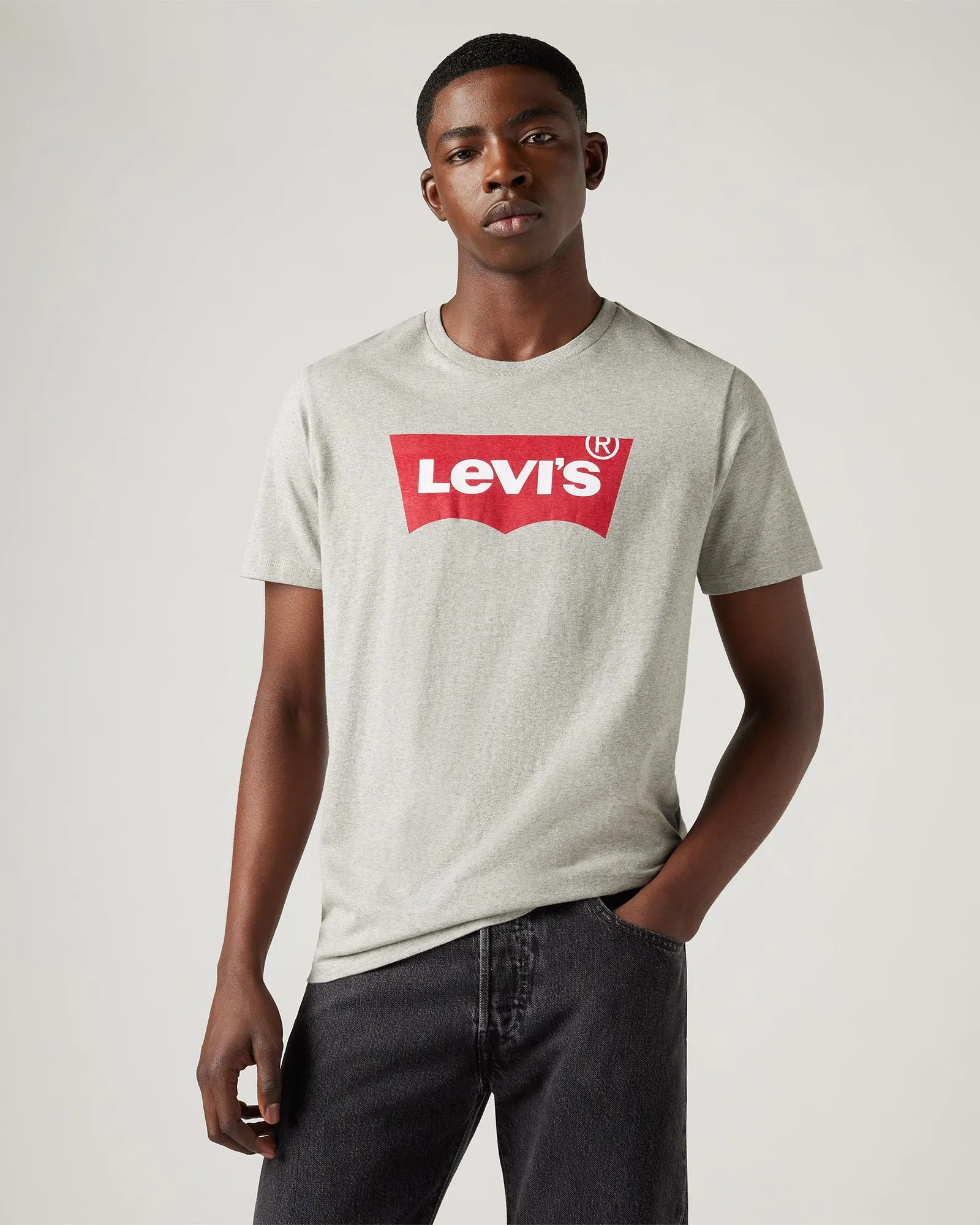 Levi's Housemark Tee - Grey Midtone Heather