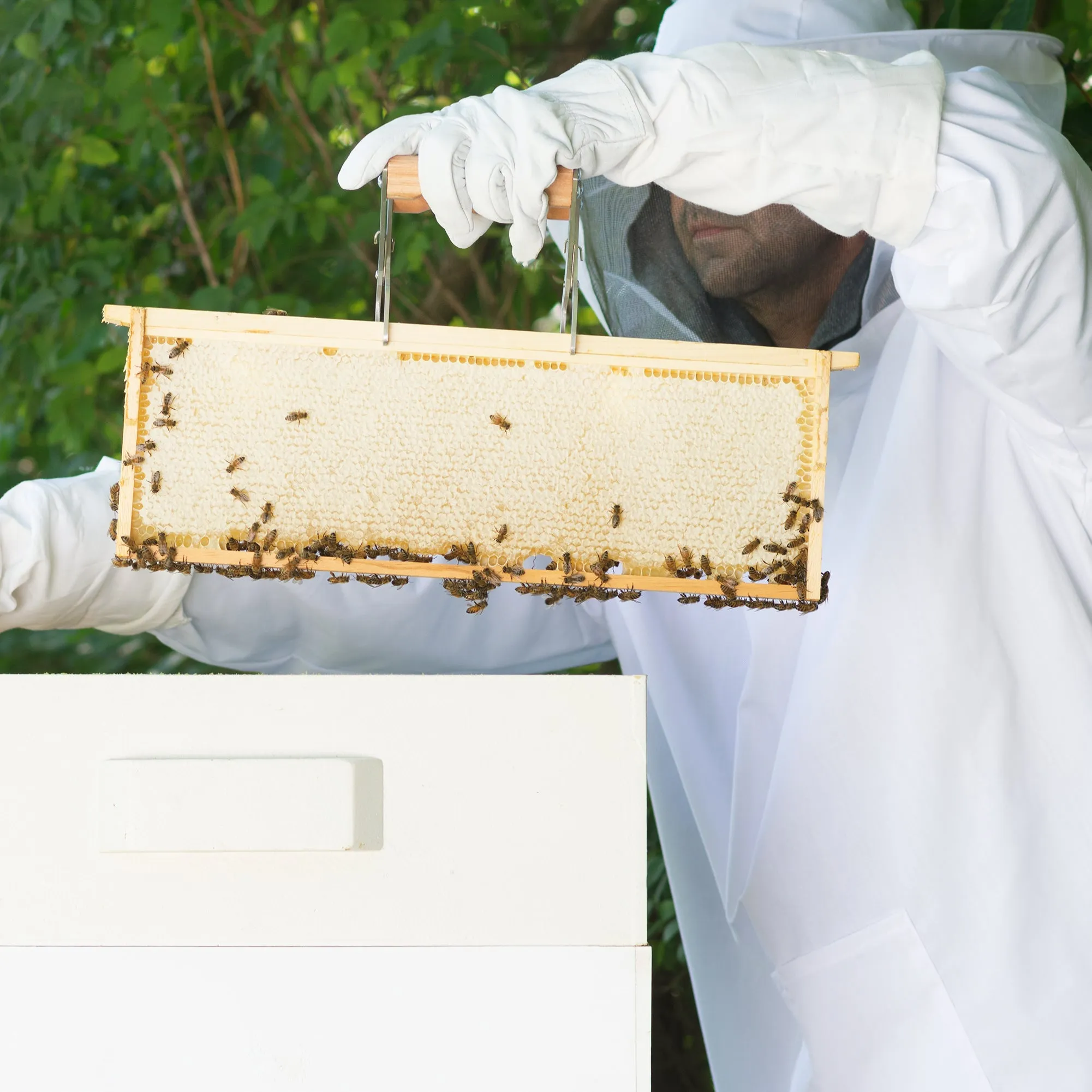 Medium Beekeeping Jacket