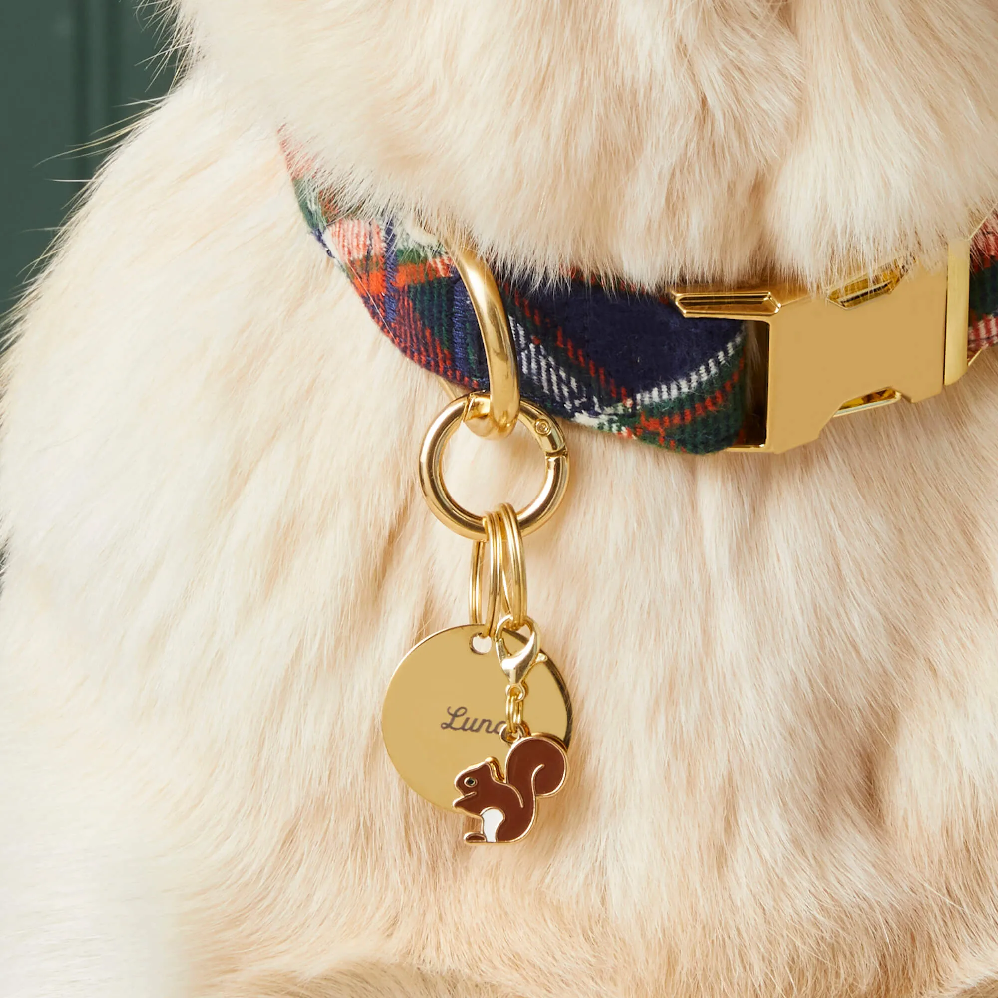 Squirrel Collar Charm