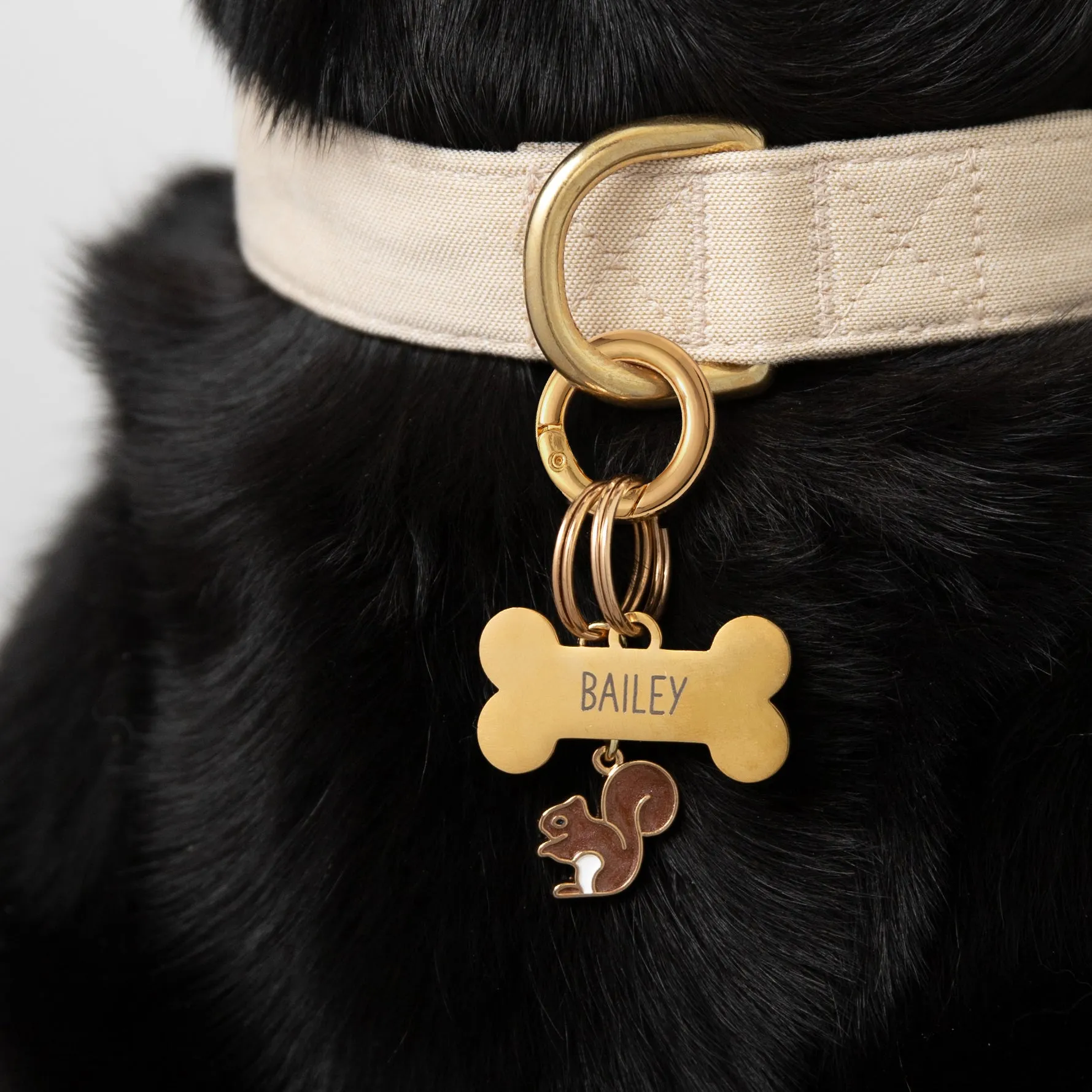 Squirrel Collar Charm